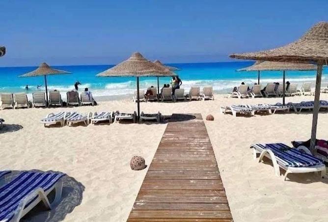 7951733 - صورة العقار 2
