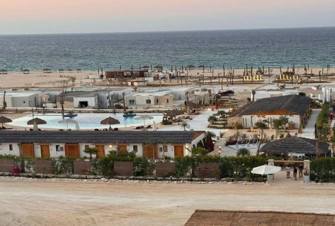 8250904 - صورة العقار 2