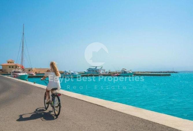 8124919 - Property Image 2