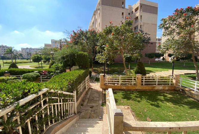 8037063 - صورة العقار 3