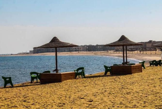 8329816 - صورة العقار 3