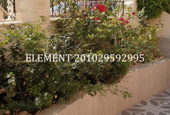 8428489 - الصورة الرئيسية للعقار