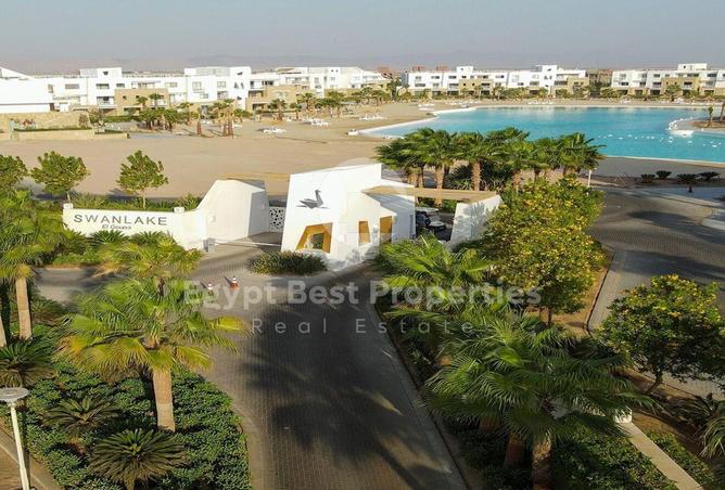 8153642 - صورة العقار 2