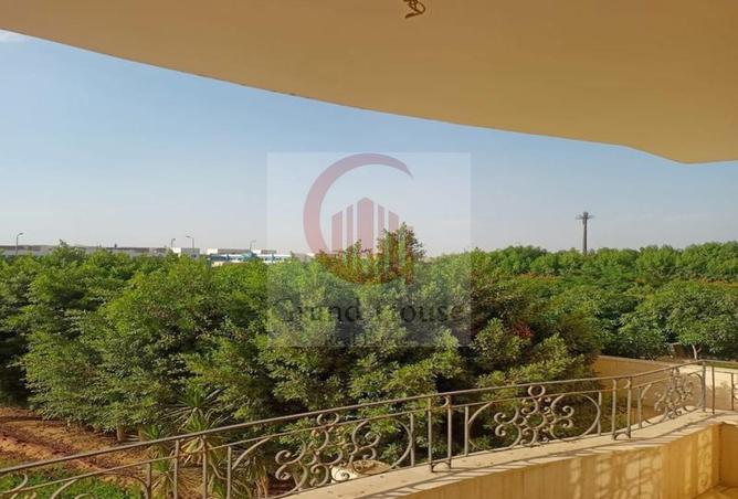 8258809 - صورة العقار 2