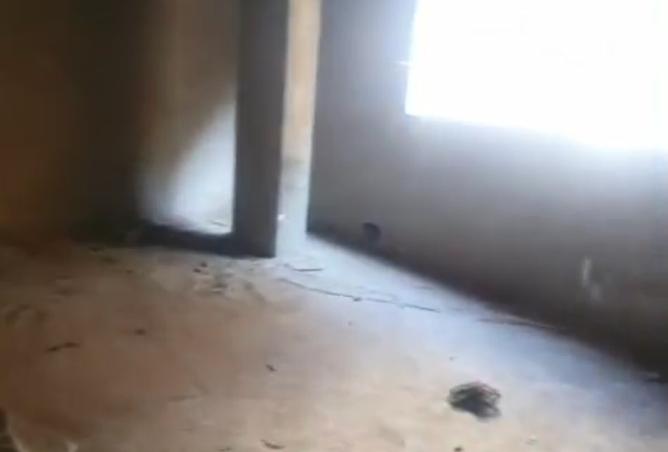 8433364 - صورة العقار 3