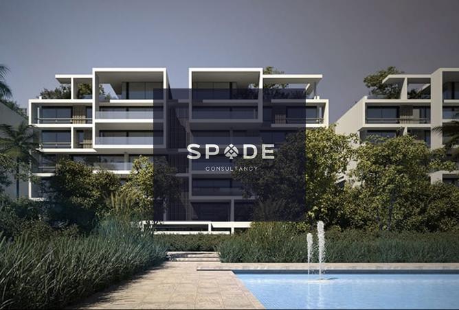 8263922 - Property Image 3