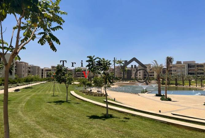 8505008 - صورة العقار 3