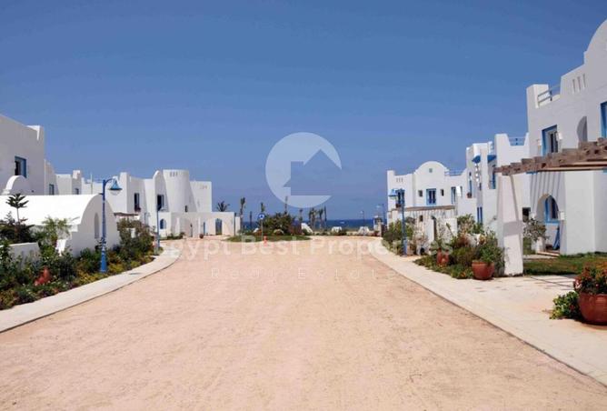 7943875 - Property Image 2