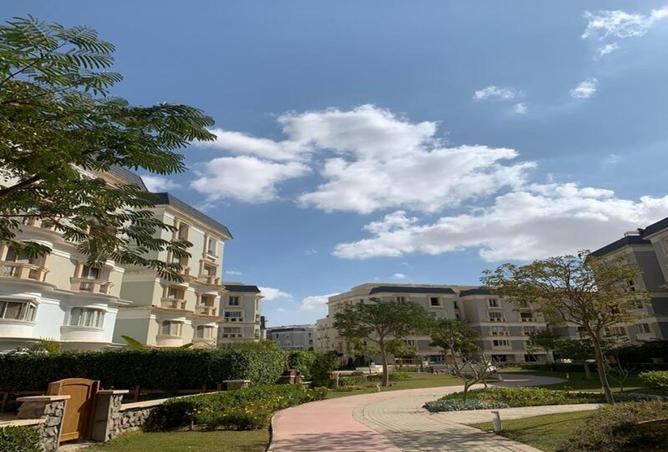 8206568 - Property Image 3