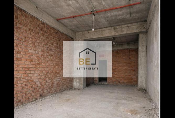 8428411 - Property Image 3