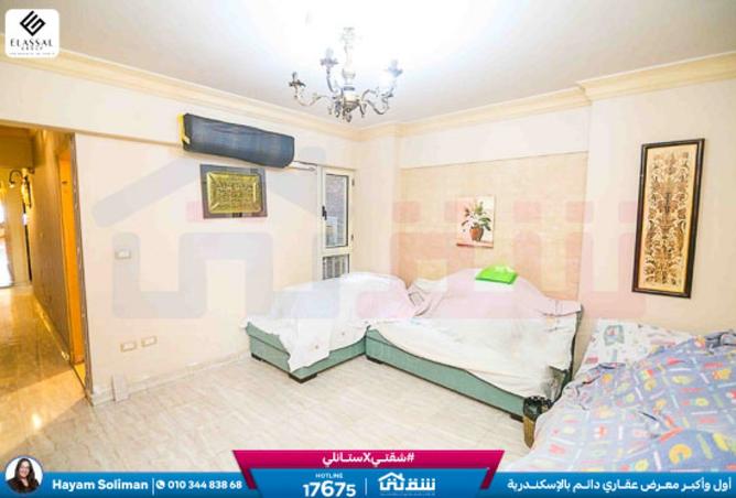 8395307 - Property Image 3