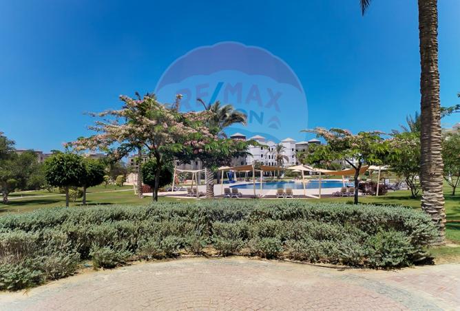 7991459 - صورة العقار 3