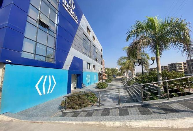 8431390 - صورة العقار 3