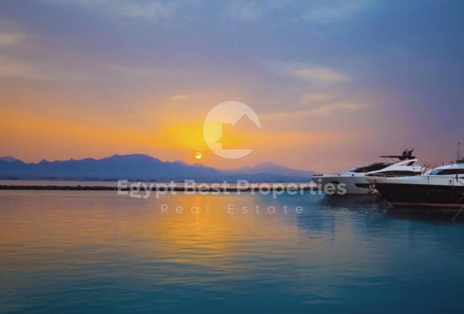 8042742 - صورة العقار 2