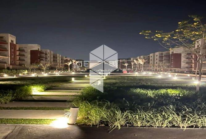 8226754 - Property Image 3