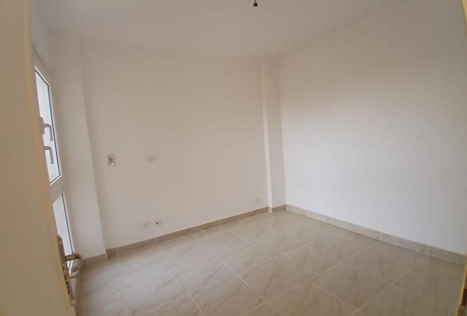 7926834 - Property Image 3