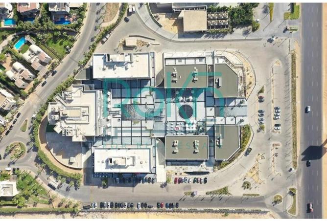 8382364 - Property Image 3