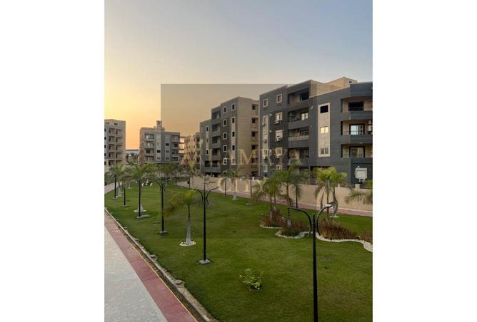 8455015 - Property Image 3