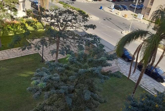 8160188 - Property Image 2