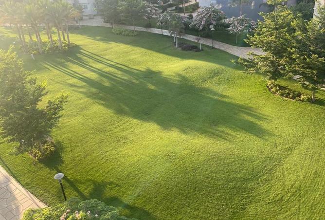 8240191 - Property Main Image