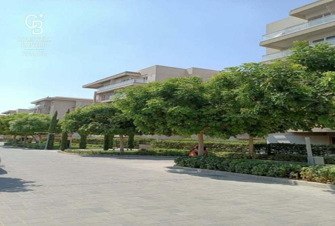 8064120 - صورة العقار 3