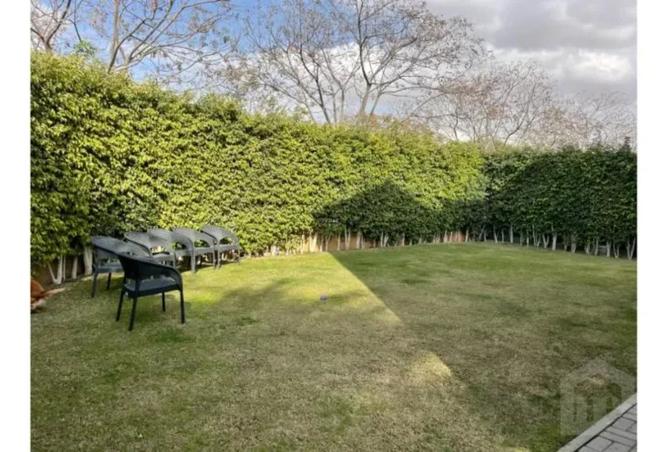 8248394 - Property Image 3