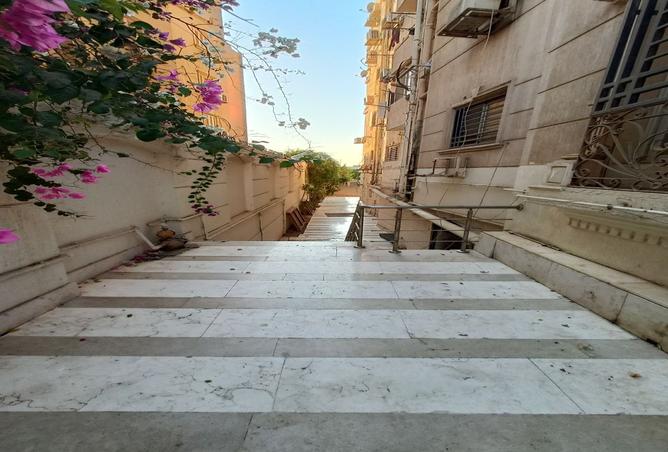 7952707 - صورة العقار 3
