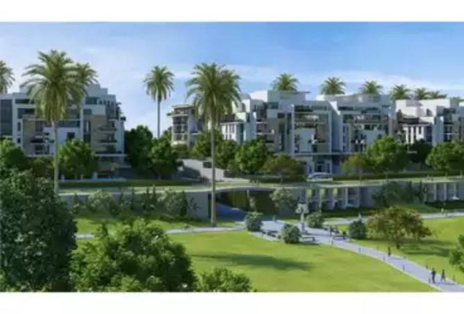 8165713 - Property Image 3