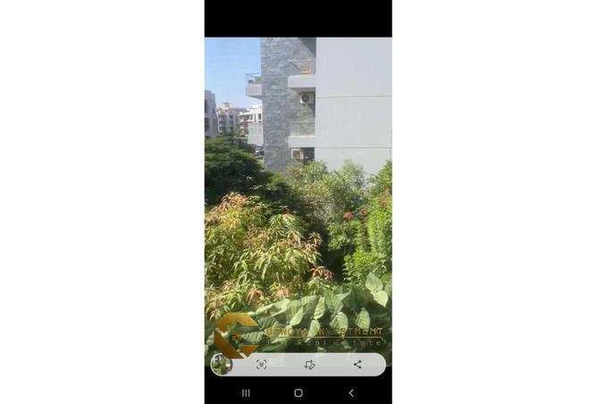 8013823 - Property Image 2