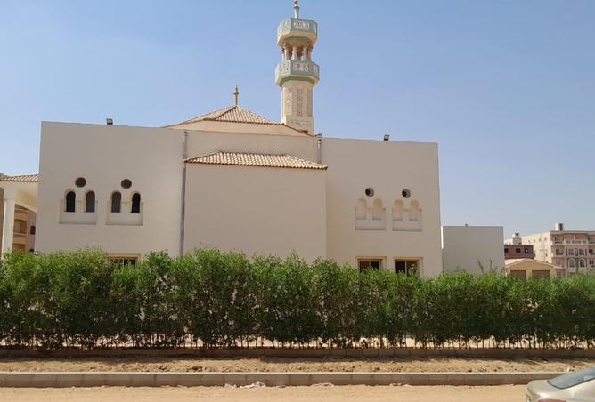 7949524 - صورة العقار 3