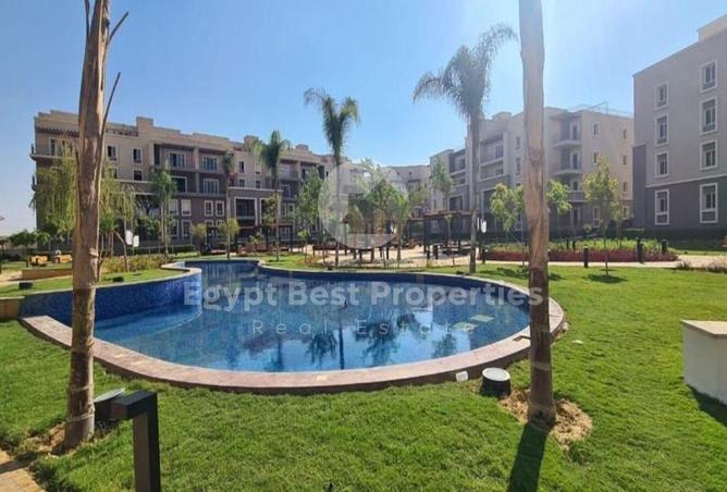 8221929 - Property Image 3