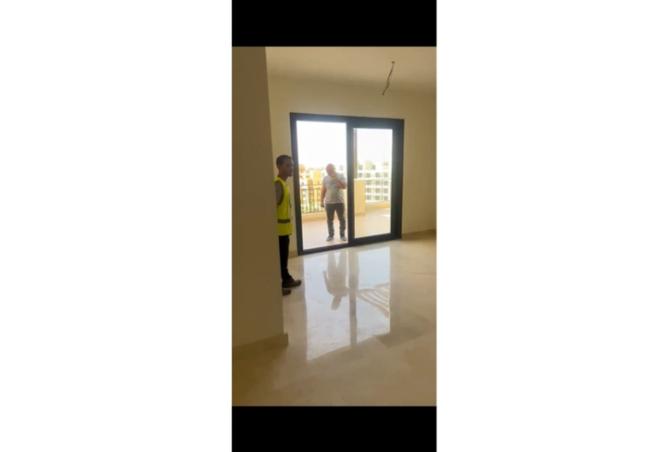 8088704 - Property Image 3