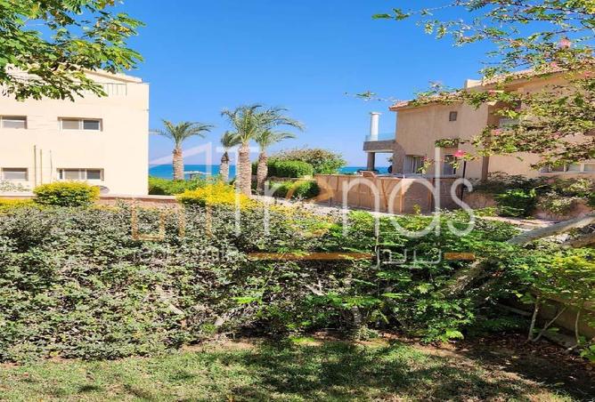 8429578 - Property Image 2