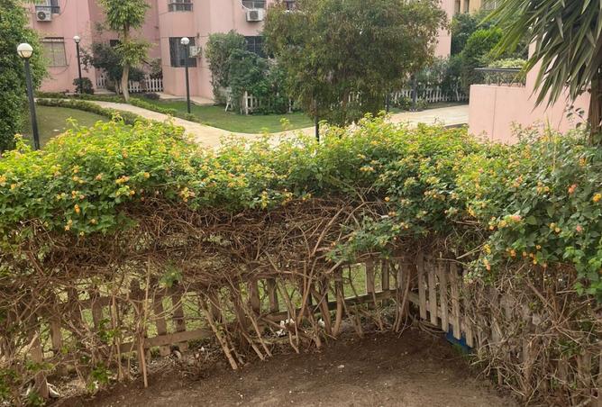 8510124 - الصورة الرئيسية للعقار