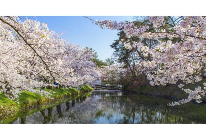 8487166 - صورة العقار 2