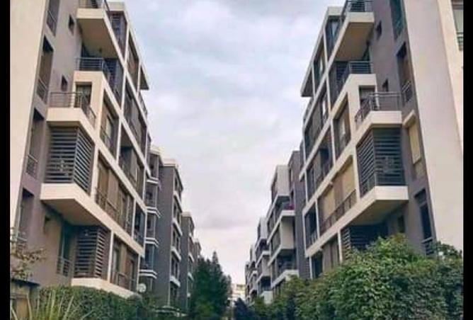 8550136 - Property Image 2