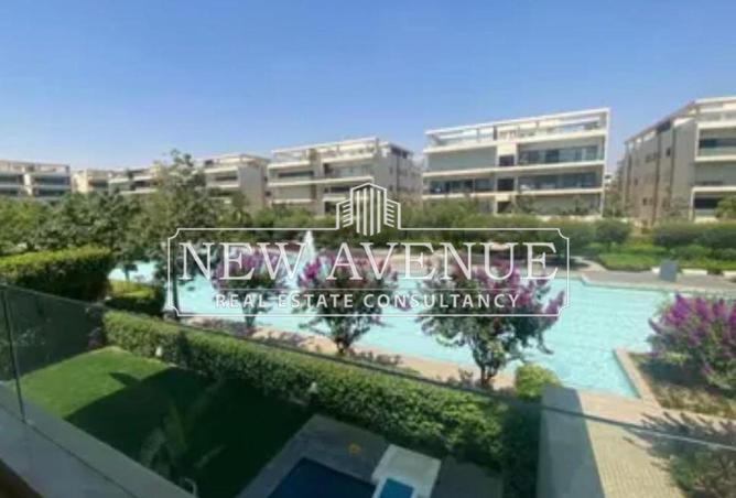 8466384 - Property Image 3