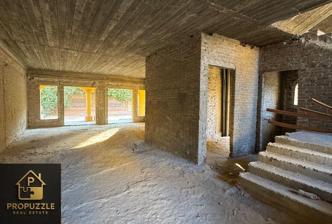 8039303 - Property Image 3