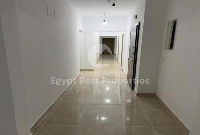8414361 - Property Image 3