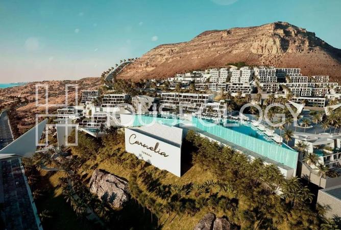 8163129 - Property Image 2