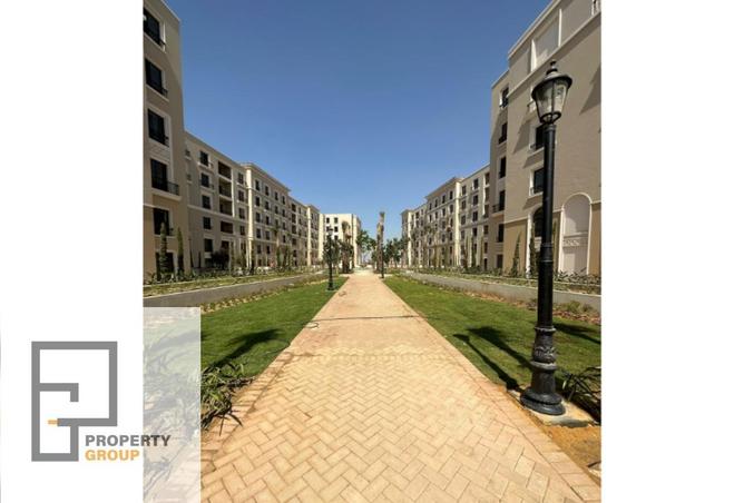 8084116 - Property Image 3