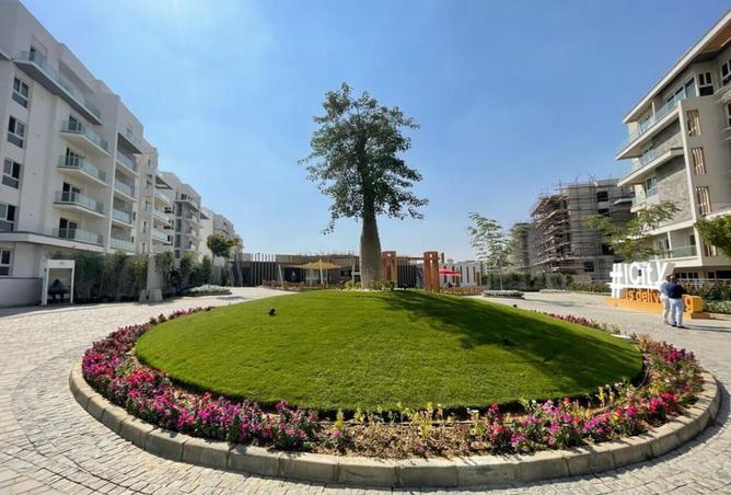 8336506 - Property Image 3