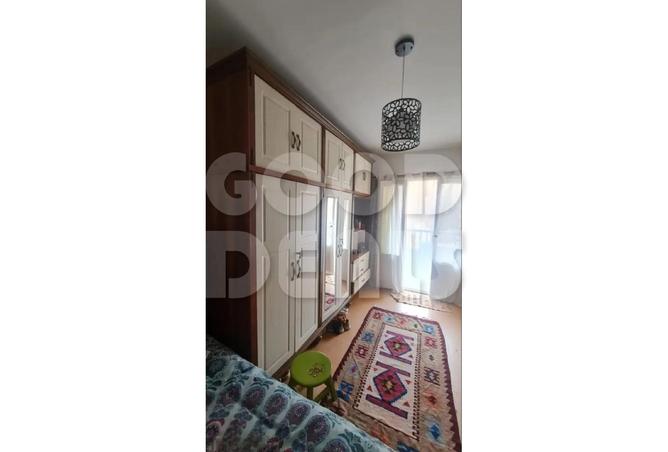 8096645 - Property Image 3
