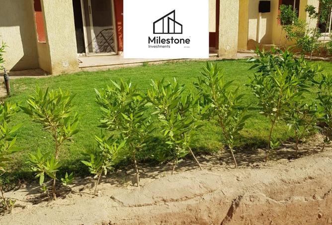 8170370 - صورة العقار 3