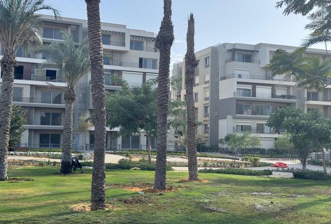 7956966 - صورة العقار 3