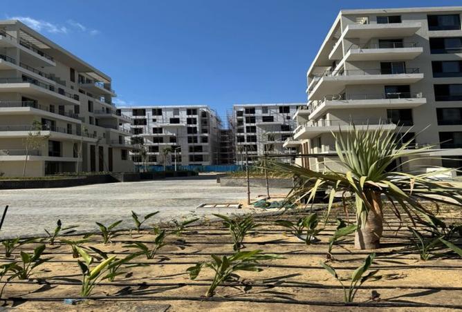 8393633 - Property Image 2