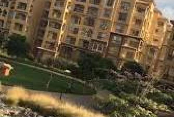 8278393 - Property Image 3