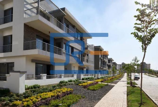 7991621 - Property Image 3