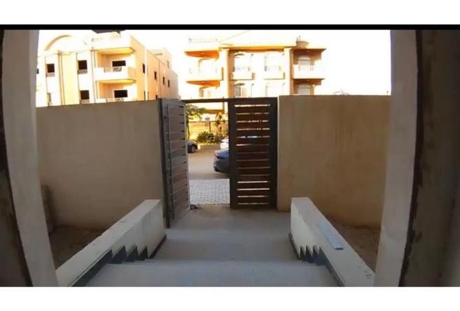 8115909 - Property Image 3