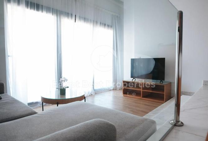 8427120 - Property Image 3